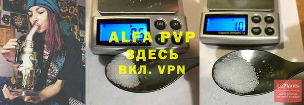 spice Богданович