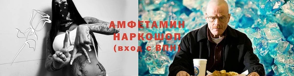 spice Богданович