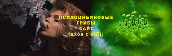 spice Богданович
