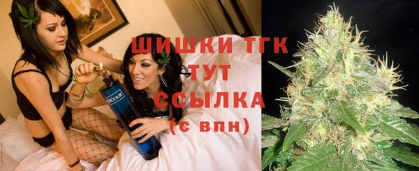 винт Богородицк